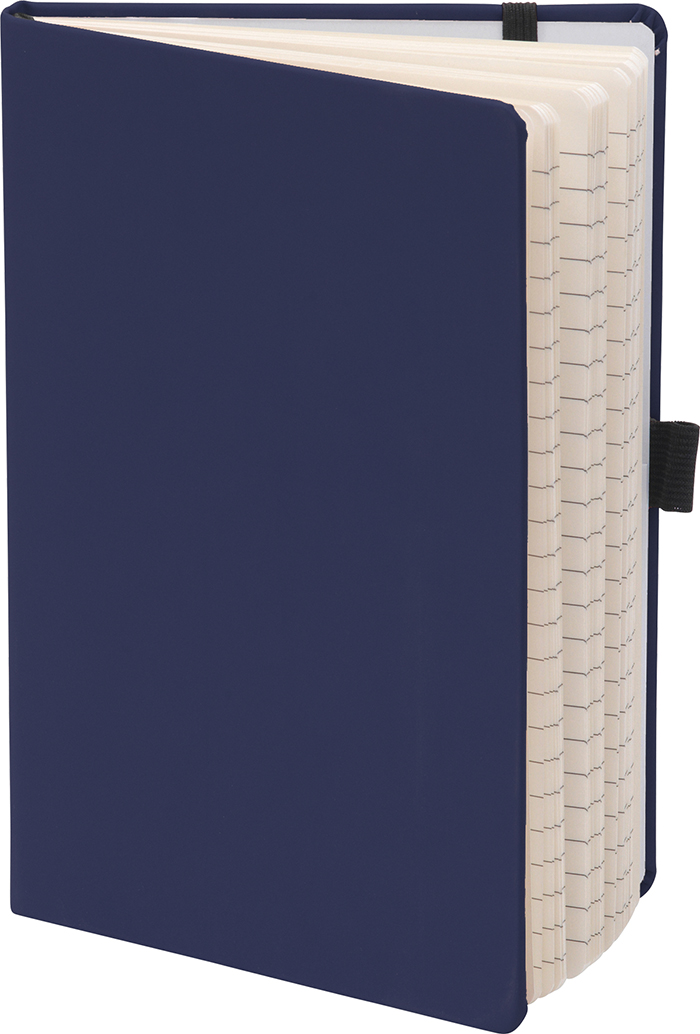 Click to show enlarged image.
